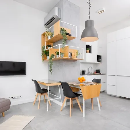 Loft Lejlighed