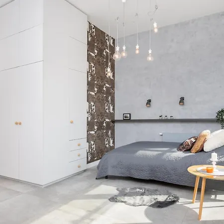 Apartament Loft *