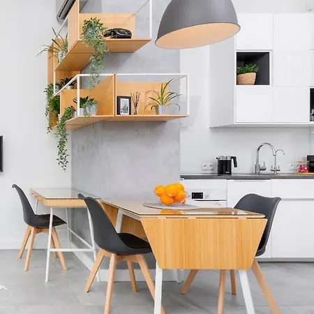 Loft Krakov